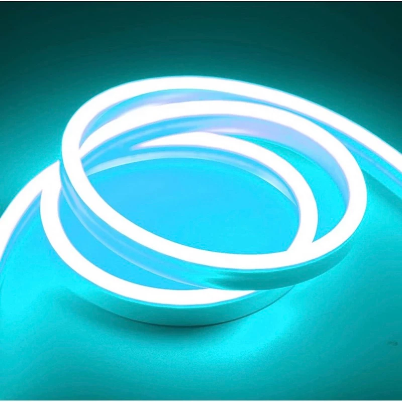 Fita de LED Mangueira Neon 5 Metros IP65 Flexível Com ou Sem Fonte | 8 Cores